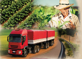 COLONO E MOTORISTA: Parabéns aos que plantam e aos que transportam!