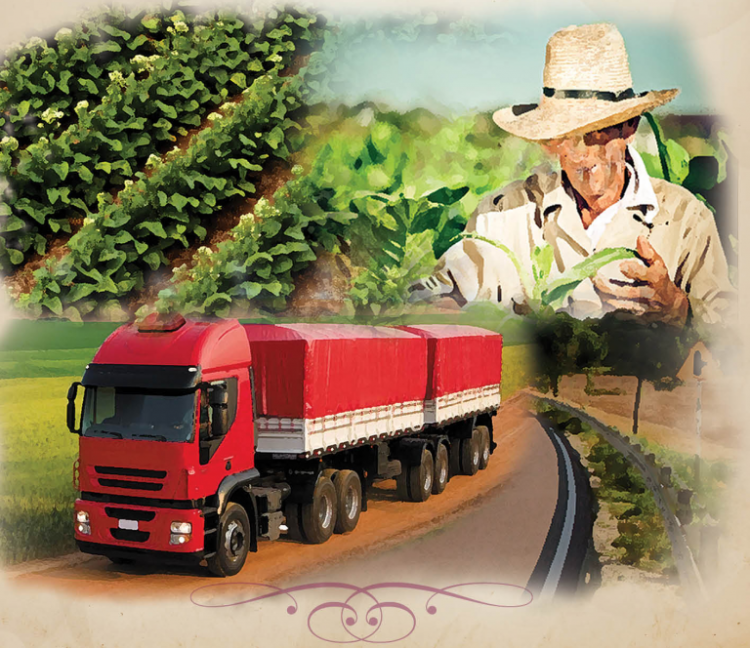 COLONO E MOTORISTA: Parabéns aos que plantam e aos que transportam!